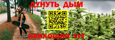 шишки Бузулук