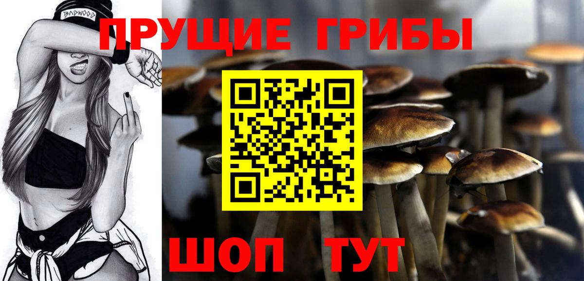 Маркс  Псилоцибиновые грибы MAGIC MUSHROOMS  Вход с VPN  Галлюциногенные грибы ЛСД 